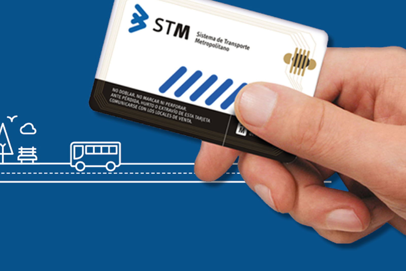 STM_1600x1067